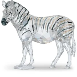 Elegance of Africa SCS Jahresausgabe 2021 Zebra Amai