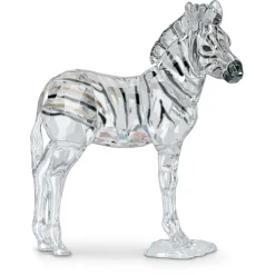 Elegance of Africa SCS Zebra Baby Zuri