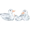 Enten