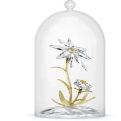 Florere Jubiläums-Glasglocke 130 Jahre