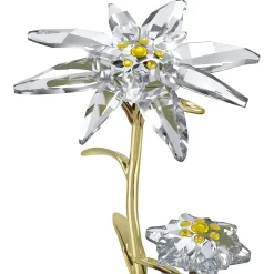 Florere Jubiläums-Glasglocke 130 Jahre