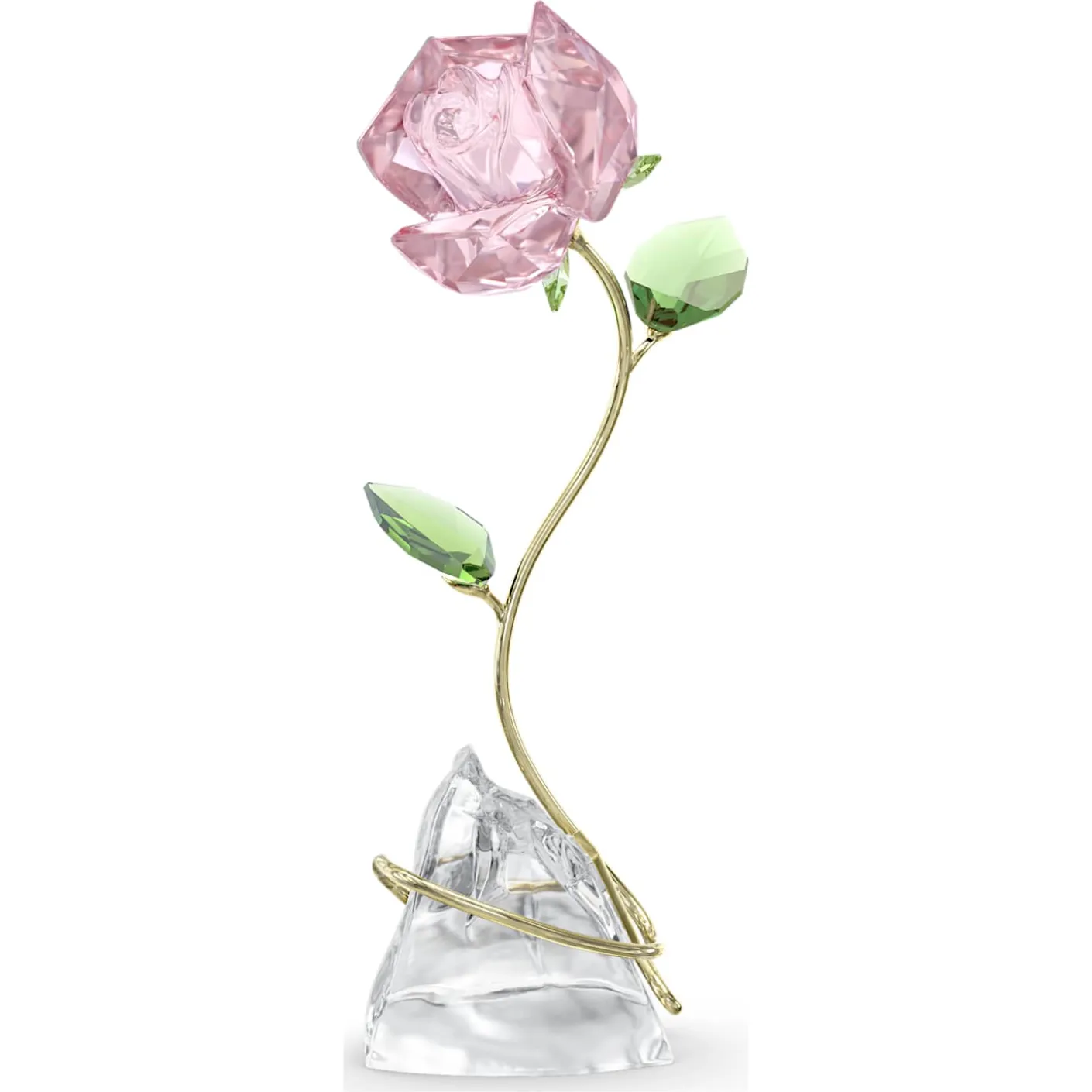 Florere Rose