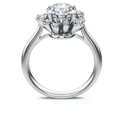 Galaxy Ring