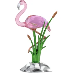 Idyllia Flamingo