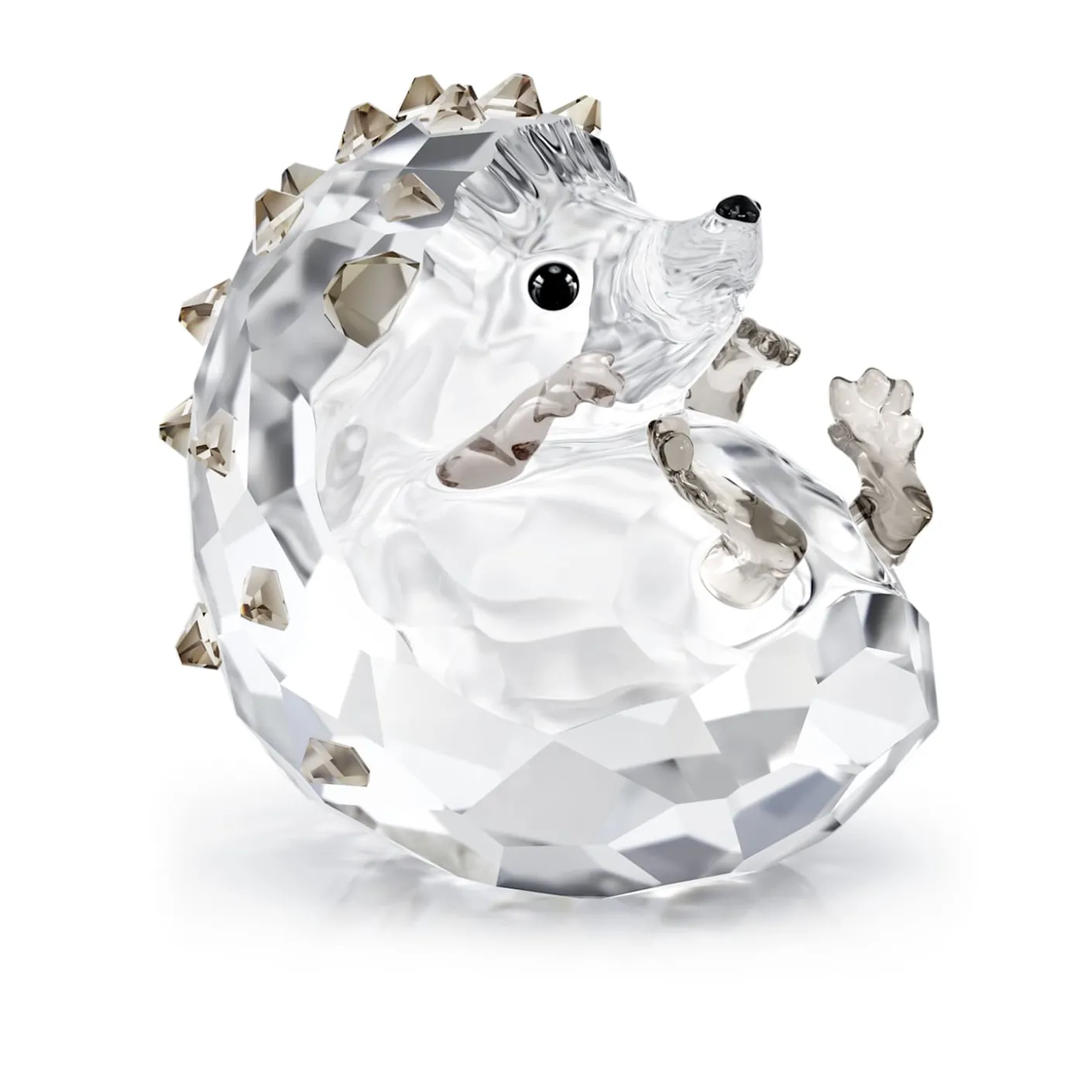 Idyllia Igel