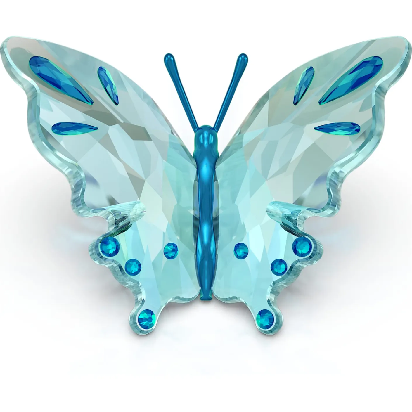 Idyllia Schmetterling