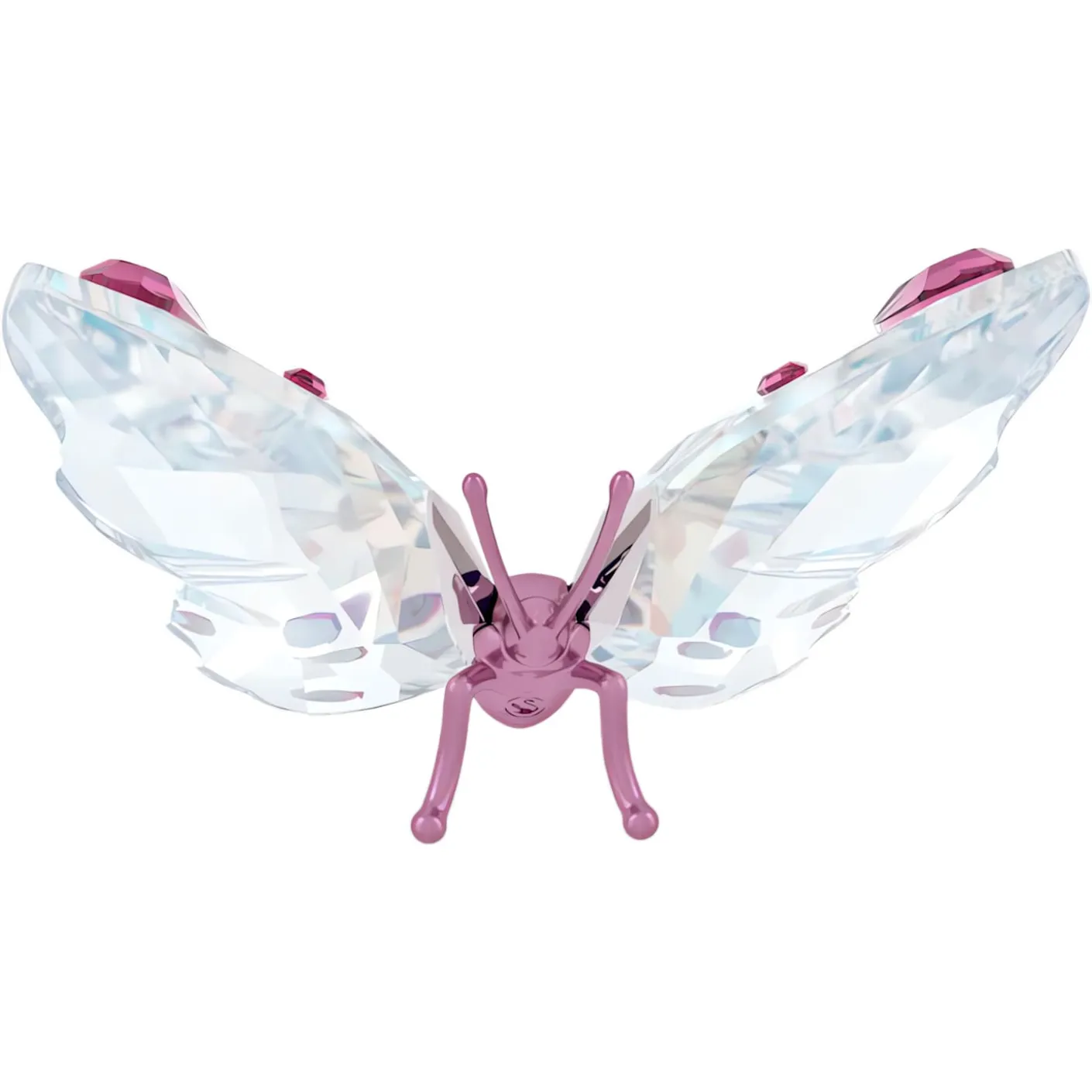 Idyllia Schmetterling